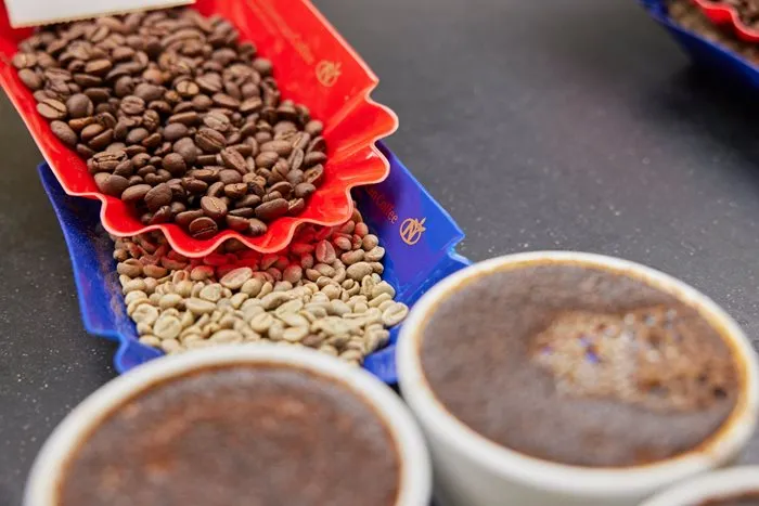 Neumann Kaffee Gruppe to launch new import company in Indonesia