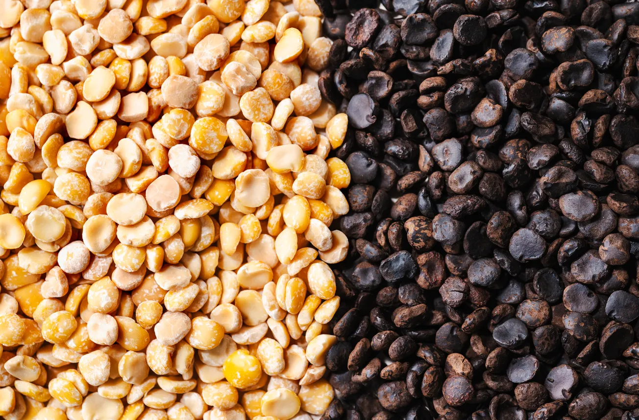 Coffee alternative brand Koppie secures investor backing