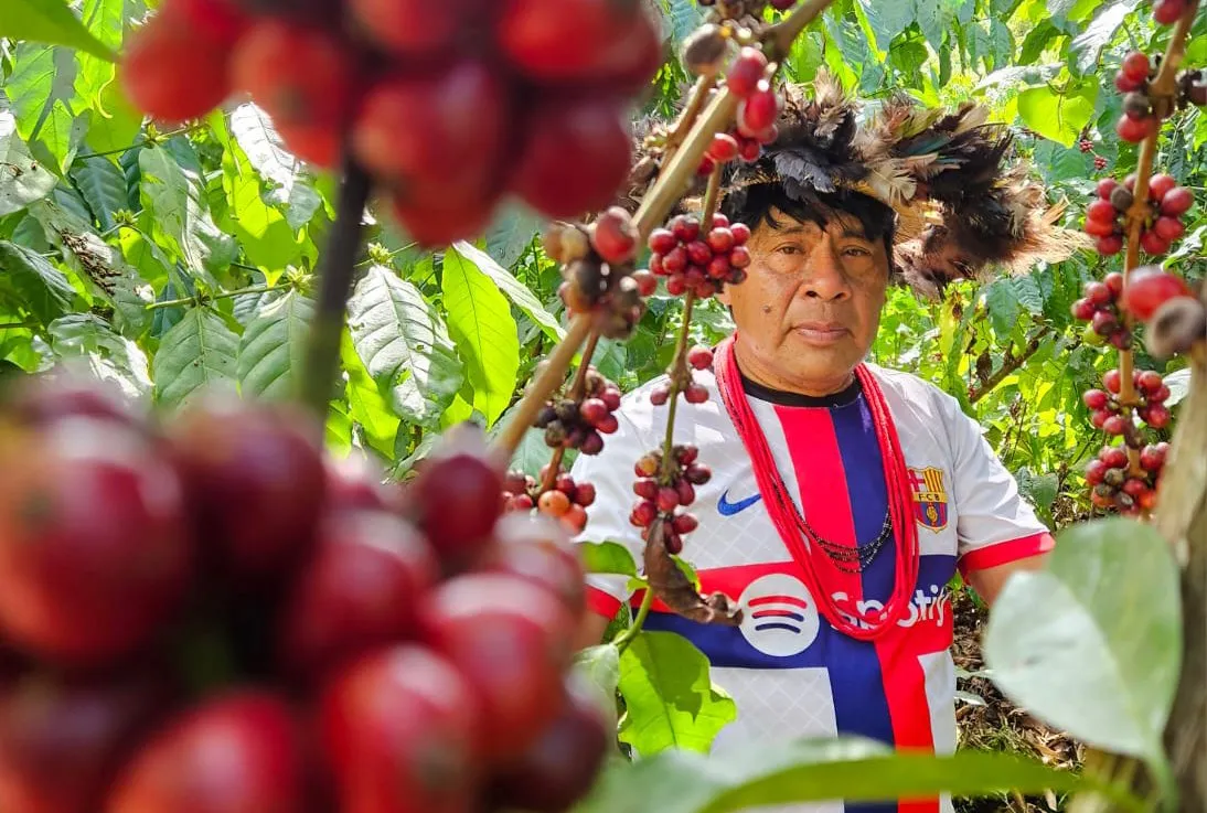 How the world’s first sustainable label for robusta was born in the Amazon