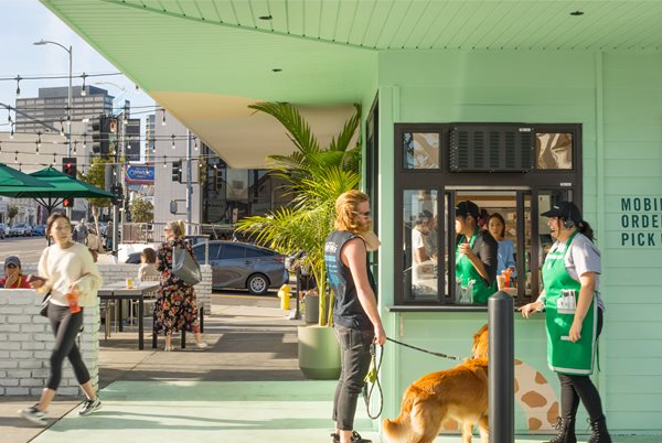 Does Starbucks Allow Dogs In 2022? (Pet Policy Explained)